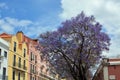 Streets of Lisbon. AlcÃÂ¢ntara. Portugal. JacarandÃÂ¡. Red building. Windows. Door. Blue and violet. Royalty Free Stock Photo