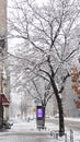 Streets of Manhattan in the snow at winter in New York City, USA. Royalty Free Stock Photo