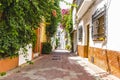 Streets of Marbella in Spain with flowers and plants on the faca Royalty Free Stock Photo