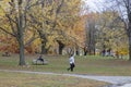 Autumn season in Montreal Mont Royal Park during pandemic of 2020