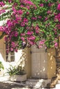 Streets of Neorio town in Poros island, Greece; Trees with pink Royalty Free Stock Photo