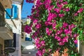 Streets of Neorio town in Poros island, Greece; Trees with pink Royalty Free Stock Photo