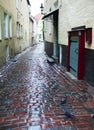 Streets of the Old City in the rain. Tallinn, Estonia Royalty Free Stock Photo