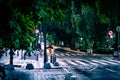 The streets of Polanco in the rain in CDMX Royalty Free Stock Photo