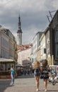 Streets of Tallinn in summer