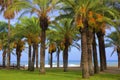 Streets of Torremolinos, Spain Royalty Free Stock Photo