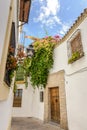 Streets in a white village of Andalucia, southern Spain Royalty Free Stock Photo