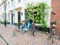 Streetscene in old town of Wijk bij Duurstede with parked bicycles and climbing rose, Netherlands