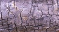 The Strength of Fire: A Close-Up of the Texture of Burnt Wood close up Royalty Free Stock Photo