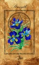 Strength. Major Arcana tarot card with iris and magic seal