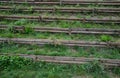 Strengthening a steep slope with wooden planks and posts that also serve as stairs or seating for watching football on the field Royalty Free Stock Photo