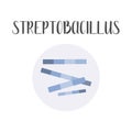 Streptobacillus. Bacteria classification. Rod-shaped shapes of bacteria, bacilli. Morphology. Microbiology.