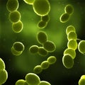 Streptococcus bacteria - close up Royalty Free Stock Photo