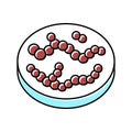 streptococcus bacteria color icon vector illustration