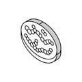 streptococcus bacteria isometric icon vector illustration Royalty Free Stock Photo