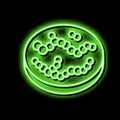 streptococcus bacteria neon glow icon illustration