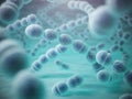 Streptococcus pneumoniae or pneumococcus bacterias Royalty Free Stock Photo