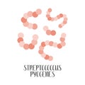 Streptococcus Pyogenes, pathogen. Spherical, gram-positive bacteria. Morphology. Microbiology Royalty Free Stock Photo