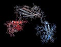 Streptokinase enzyme molecule. Protein from Streptococcus bacteria that is used as a thrombolytic drug