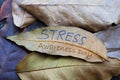 STRESS Awareness Day