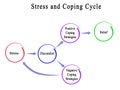 Stress and Coping Cycle
