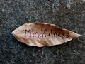 Stress and Depression written on leavesMindfulness written on a dried leaf