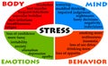 Stress diagram Royalty Free Stock Photo