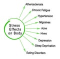 Stress Effects on Body