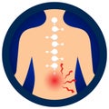 Medical infographic orthopedic; human silhouette. Abstract background with spine bone