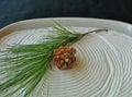 Mini zen garden with white sand, pine cone, green branch.