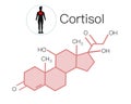 Stress hormones Cortisol super quality abstract business picture