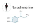 Stress hormones noradrenaline super quality abstract business picture