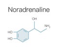 Stress hormones noradrenaline super quality abstract business picture