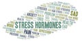 Stress Hormones word cloud Royalty Free Stock Photo