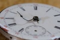 Stress of Impending Deadline Visible on Vintage Pocket Watch