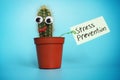 Stress prevention sign and cactus