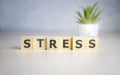 Stress - words from wooden blocks with letters, feel worried and nervous stress concept, top view light background