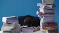 Stressed accountant manager takes stack of unfinished documents from large pile