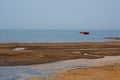 Stretch of the Apulian coast with posidonia algae and seagulls and fishermen`s boats in the background