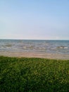 A stretch of beach sand covered with green plants with a sea background and 2 boats. Royalty Free Stock Photo