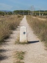 Stretch of the Camino de Santiago in Spain through a field