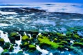 a stretch of coral that appears after the seawater recedes