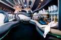 Stretch limousine Royalty Free Stock Photo