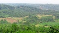 A stretch of rice fields surrounded by hills