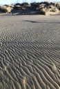 Stretch of sand smoothed by the strong wind