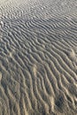 Stretch of sand smoothed by the strong wind