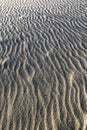 Stretch of sand smoothed by the strong wind