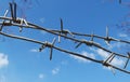 Stretched Barbed Wire Over Blue Sky Detailed Photo Royalty Free Stock Photo