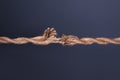 Stretched frayed rope breaking Royalty Free Stock Photo