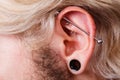 Pierced man ear, black plug tunnel, industrial and rook Royalty Free Stock Photo